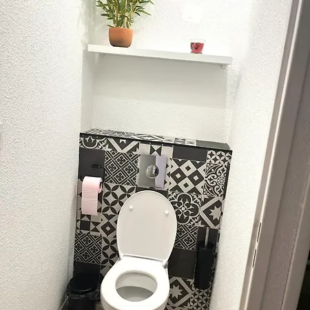 Coquet T2 à 10 Minutes De L'aéroport Apartamento Colomiers